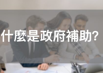 什麼是政府補助？